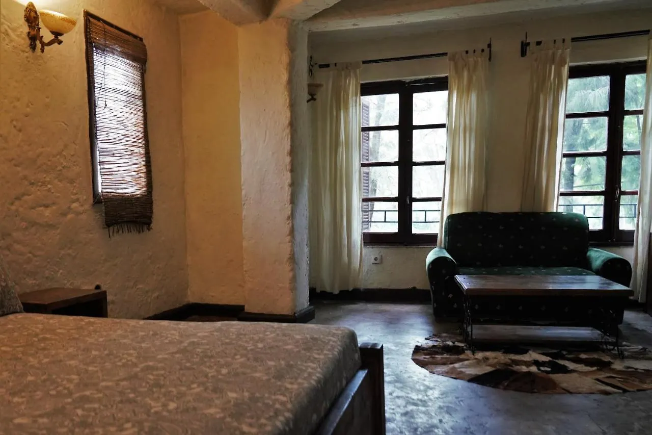 Tryst Boutique Hotel 亚的斯亚贝巴 埃塞俄比亚