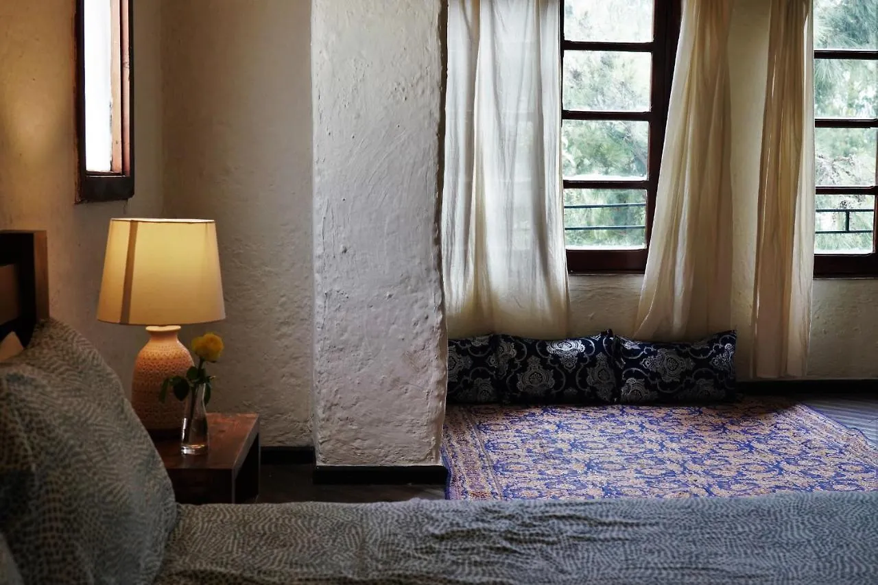 Tryst Boutique Hotel 亚的斯亚贝巴 0*,