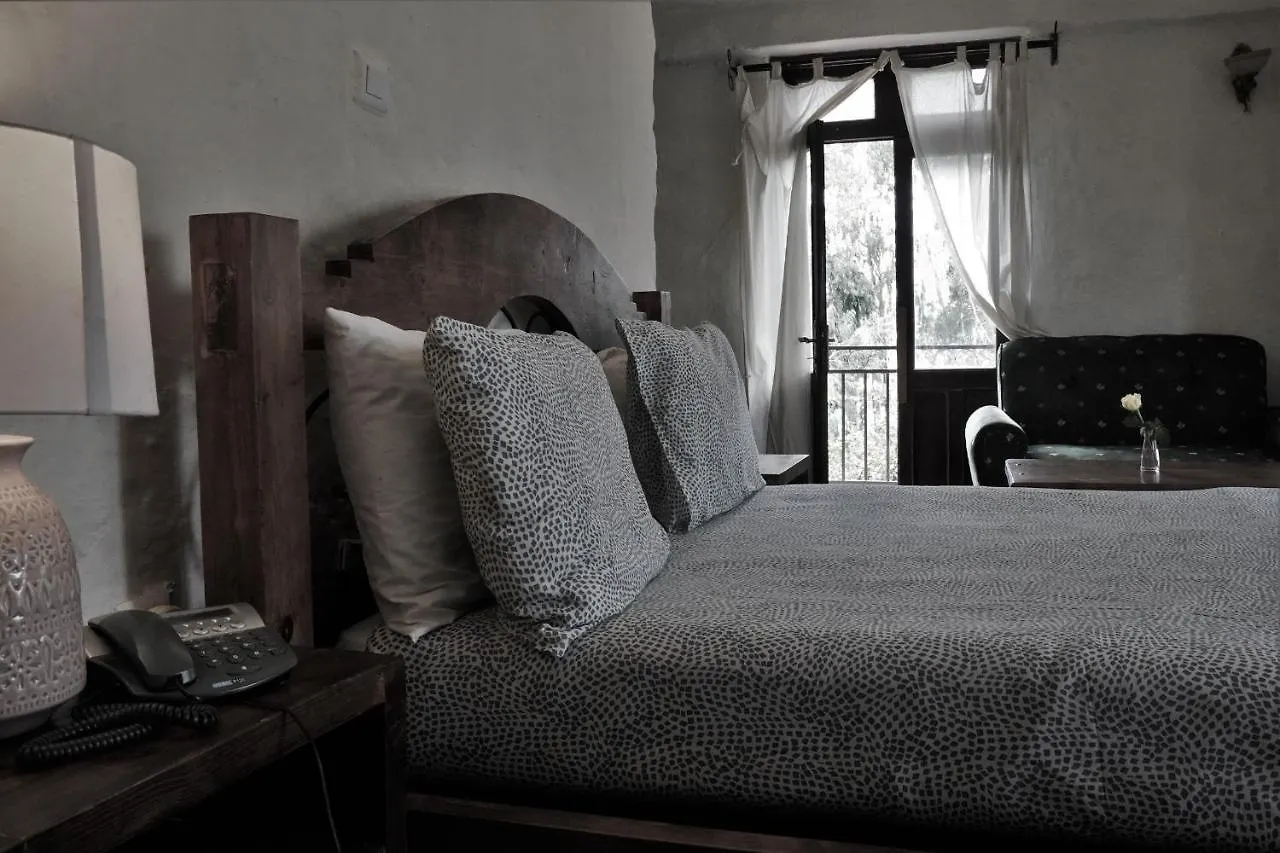 招待所 Tryst Boutique Hotel 亚的斯亚贝巴